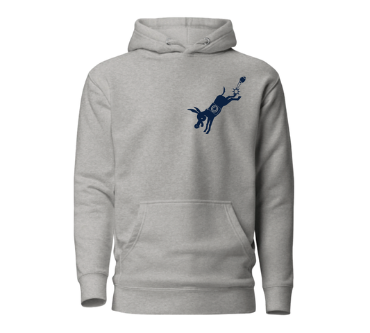 Field Goal Hoodie - Navy Graphic