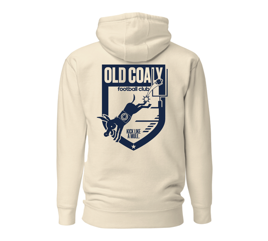 Field Goal Hoodie - Navy Graphic